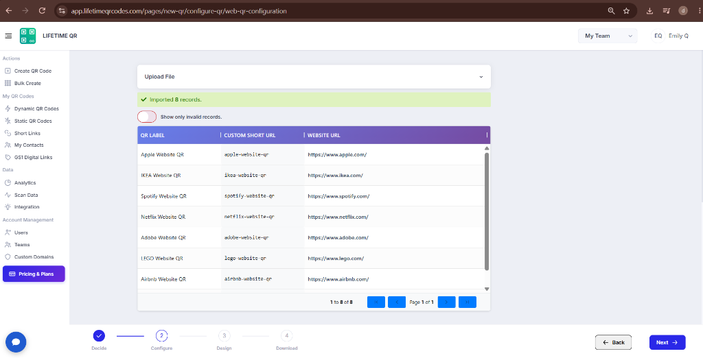 Upload File section showing imported records confirmation and data preview table