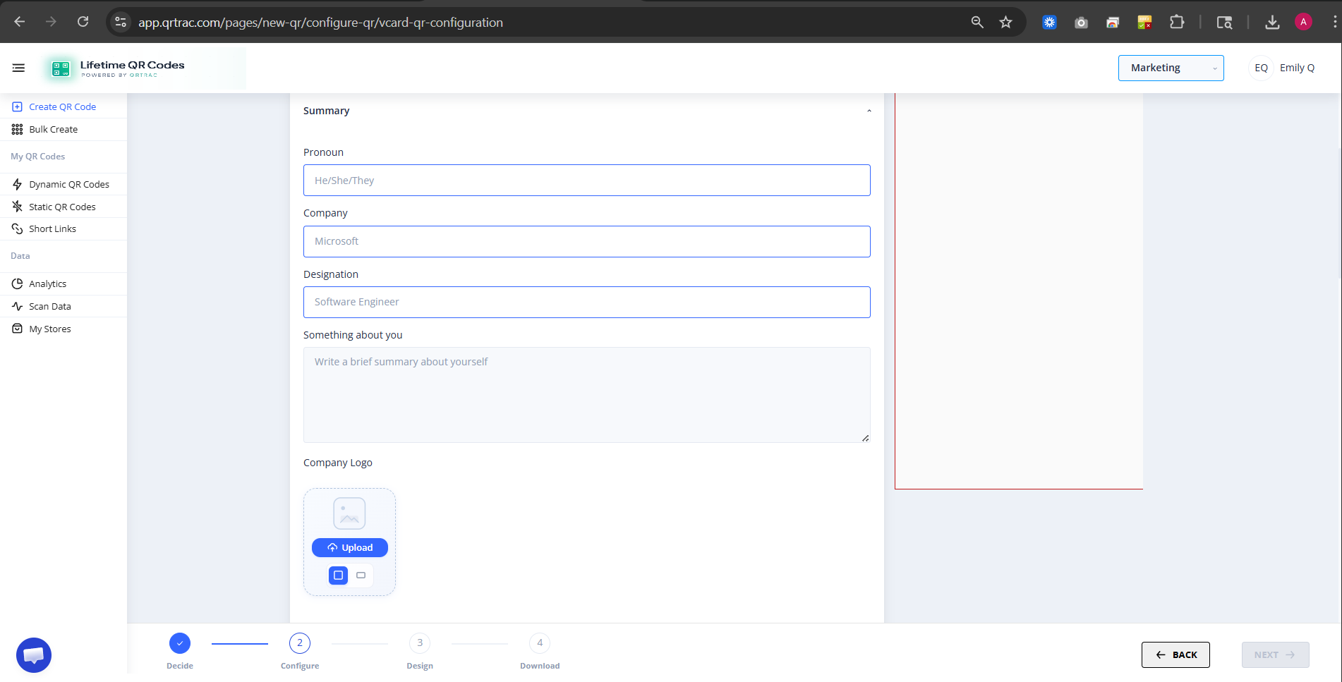 Summary section showing pronoun, company, designation and bio fields