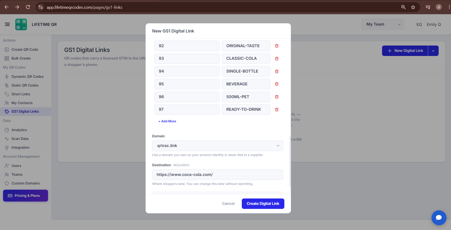 Domain and Destination settings showing domain selection dropdown and destination URL field