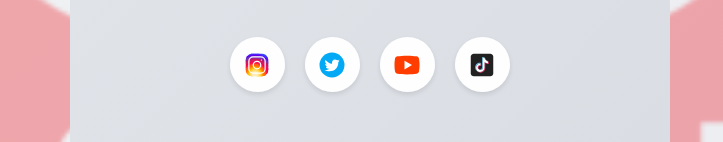 Social media platform logos section