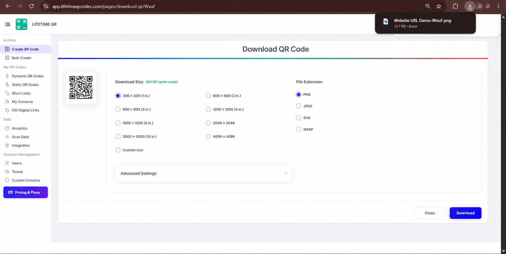 Website URL Download Options Screen